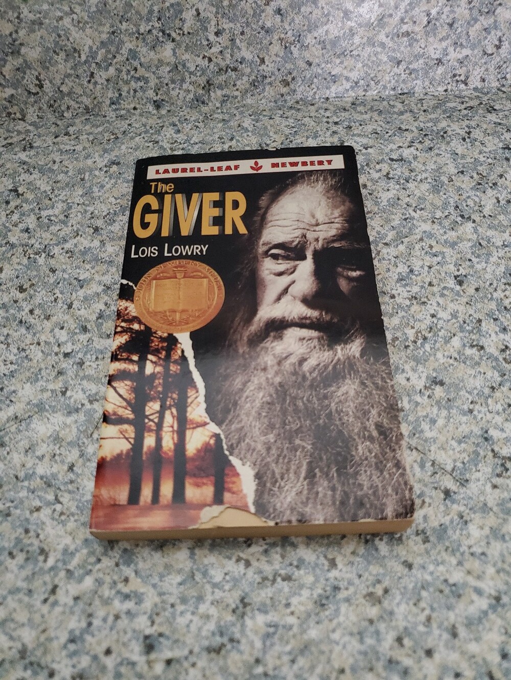 The Giver By Lois Lowry Paperback Preowned